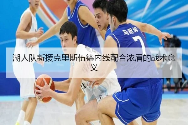 湖人队新援克里斯伍德内线配合浓眉的战术意义